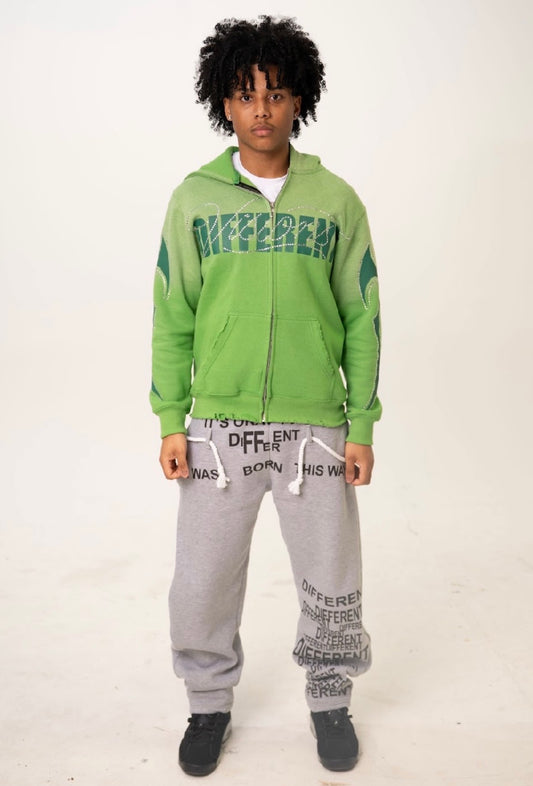 Green "Different Visions Zip"